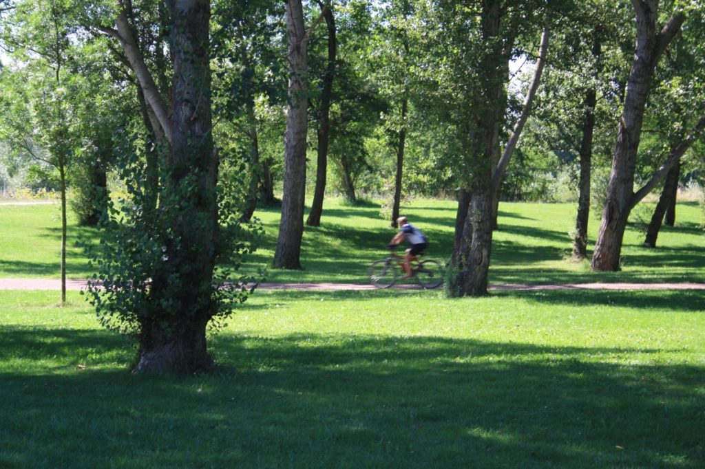 Bords de Loire : le parc