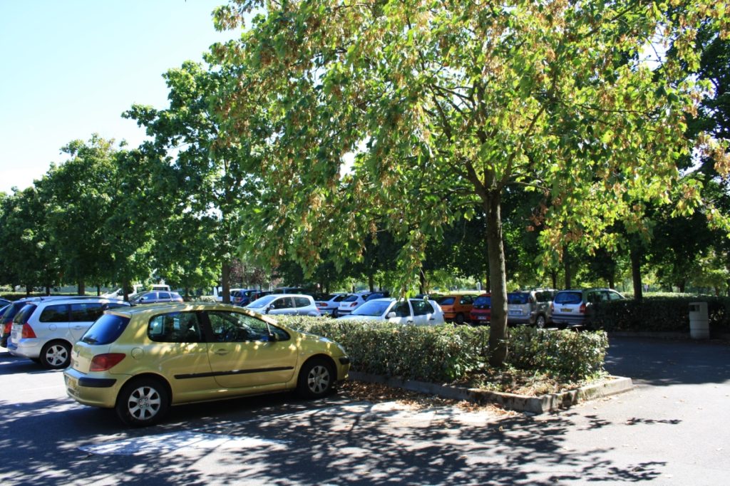 Bords de Loire : parkings ombragés