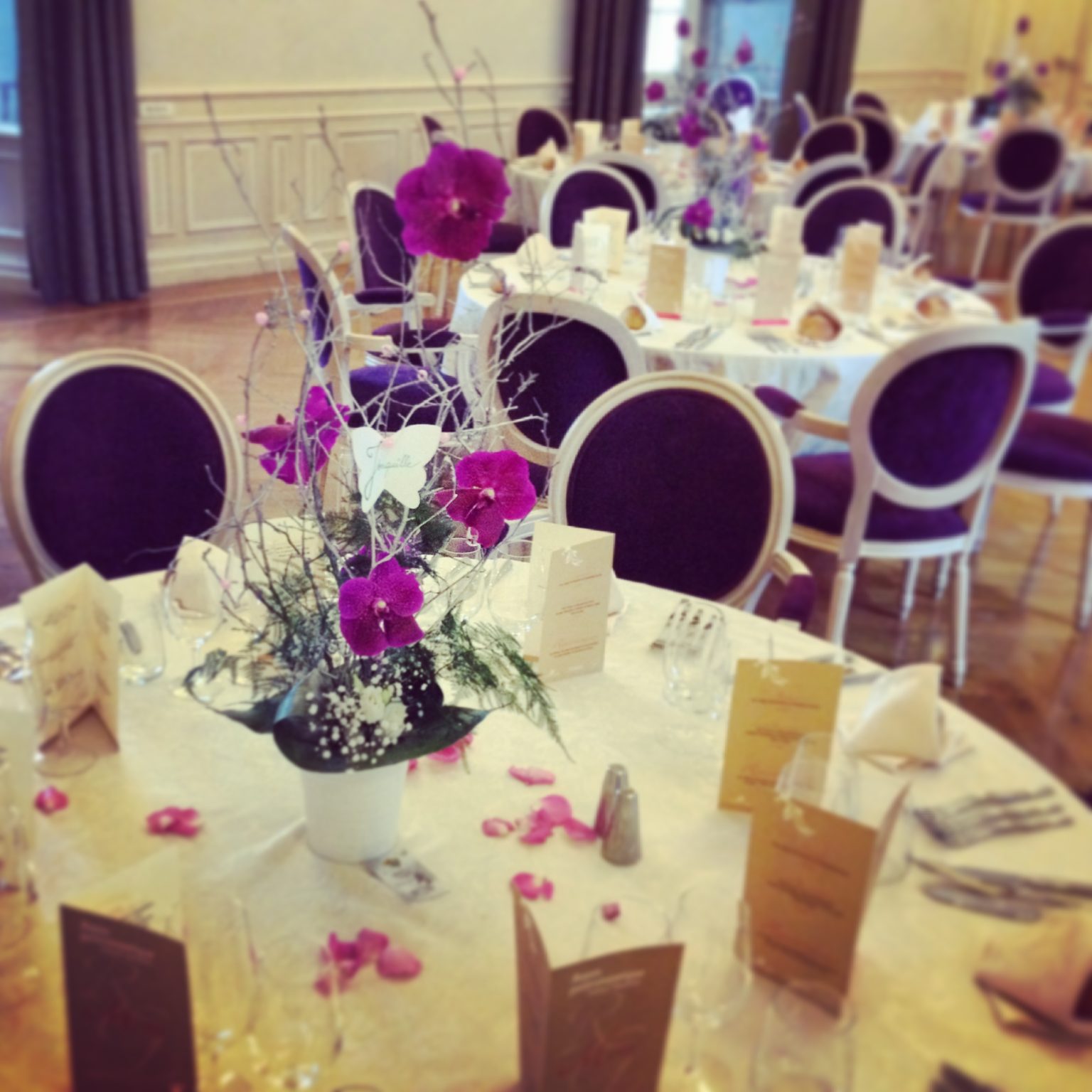 Château de Bouthéon la Loire en Histoires et le parc de la Ferme